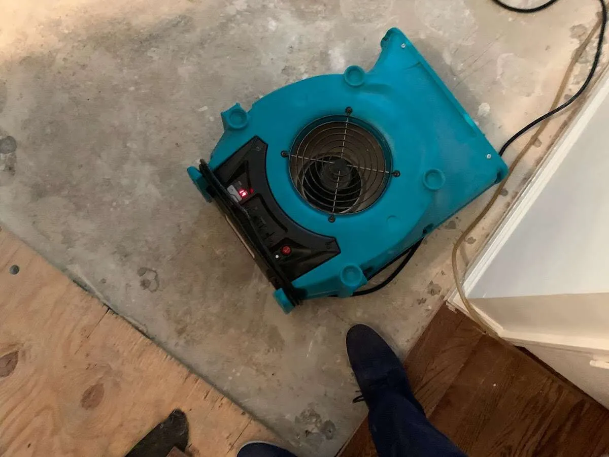 Air mover drying subfloor during Commercial Water Damage Restoration in Paulsboro
